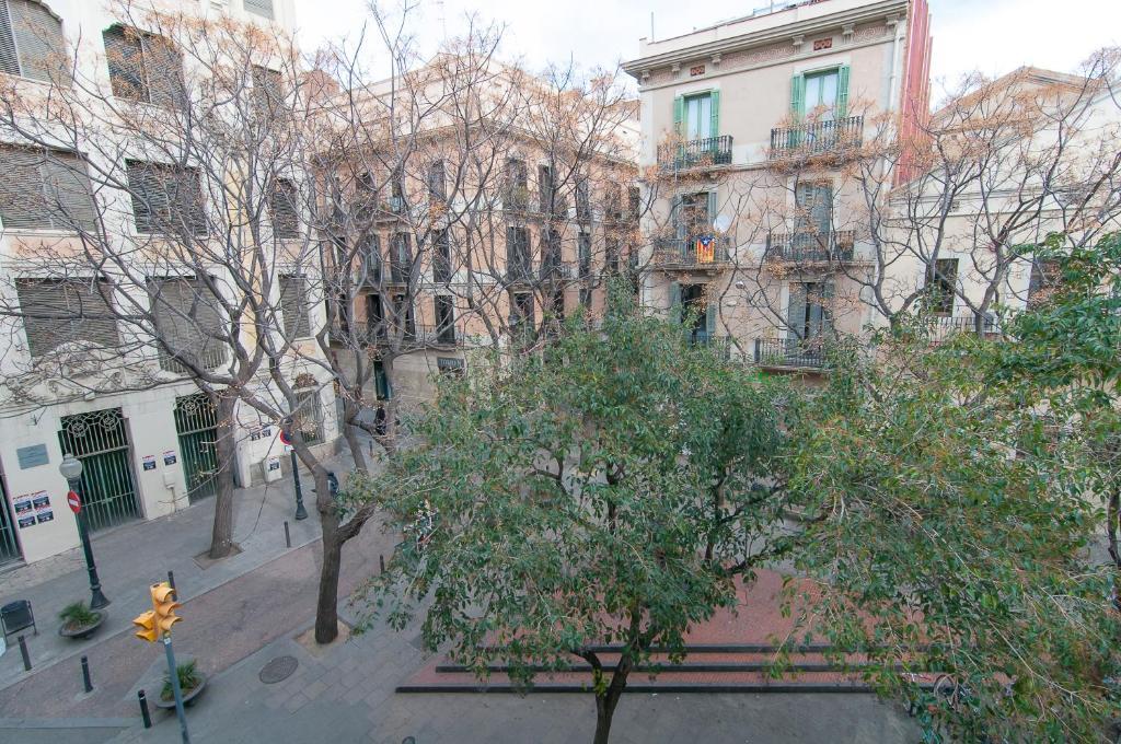 Apartamentos Alos Barselona Oda fotoğraf